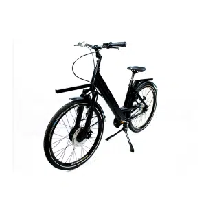 eBike4Delivery Gen2+